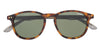 O'Neill ONS-9008 Tortoise Grey/Green Polarised #colour_tortoise-grey-green-polarised