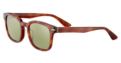 Serengeti Ethan Shiny Classic Havana/Mineral Non Polarized 555nm #colour_shiny-classic-havana-mineral-non-polarized-555nm