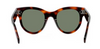 Celine CL4003IN Dark Tortoise/Grey #colour_dark-tortoise-grey