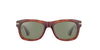 Serengeti Foyt Dark Tortoise/Green #colour_dark-tortoise-green