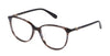 #colour_shiny-striped-blue-brown