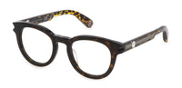 Philipp Plein VPP024V Shiny Dark Havana #colour_shiny-dark-havana
