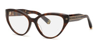Philipp Plein VPP052M Shiny Dark Havana #colour_shiny-dark-havana