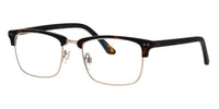 Brooklyn D189 Dark-Tortoise #colour_dark-tortoise