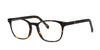 Brooklyn D171 Dark-Tortoise #colour_dark-tortoise