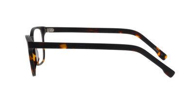 Brooklyn D171 Dark-Tortoise #colour_dark-tortoise