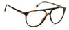 CARRERA 1124 Dark Tortoise #colour_dark-tortoise