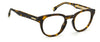 Carrera 250 Dark-Tortoise #colour_dark-tortoise