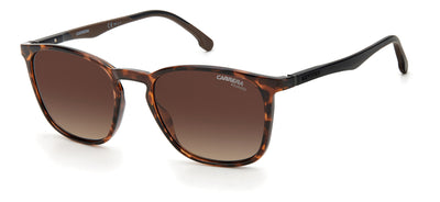 CARRERA 8041/S Dark Tortoise/Brown Polarised #colour_dark-tortoise-brown-polarised