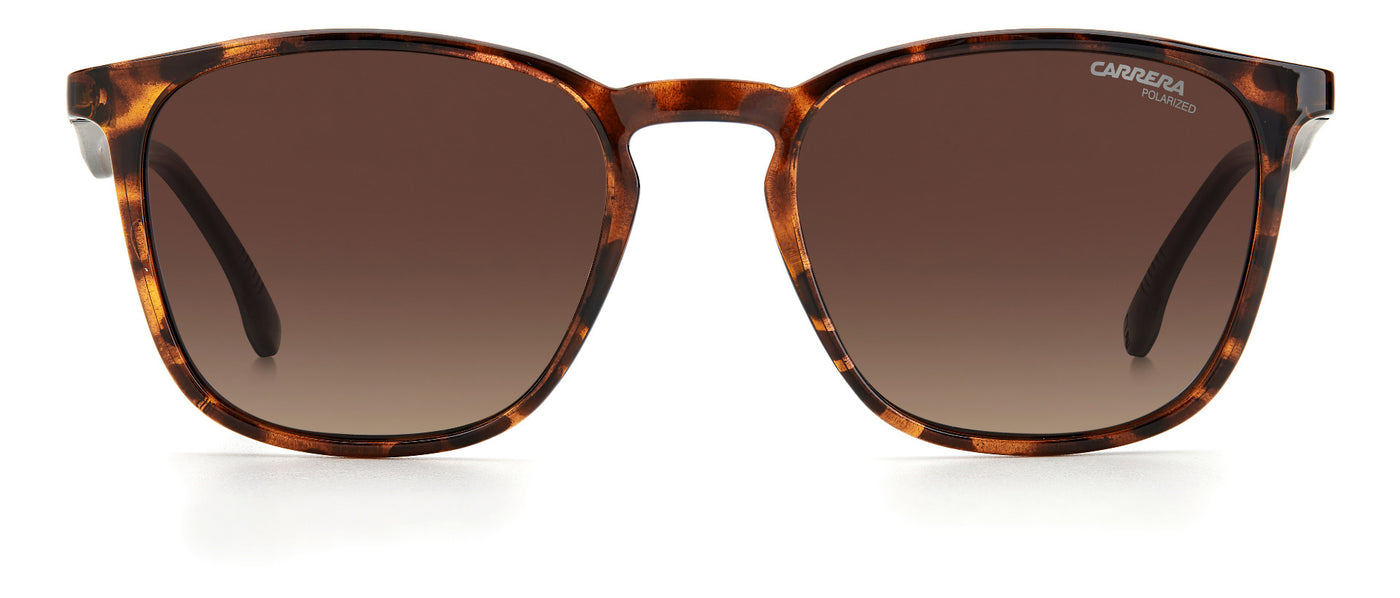 CARRERA 8041/S Dark Tortoise/Brown Polarised #colour_dark-tortoise-brown-polarised