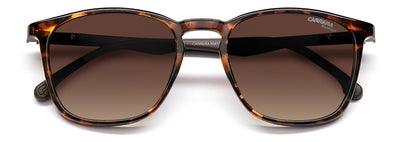 CARRERA 8041/S Dark Tortoise/Brown Polarised #colour_dark-tortoise-brown-polarised