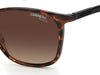 CARRERA 8041/S Dark Tortoise/Brown Polarised #colour_dark-tortoise-brown-polarised