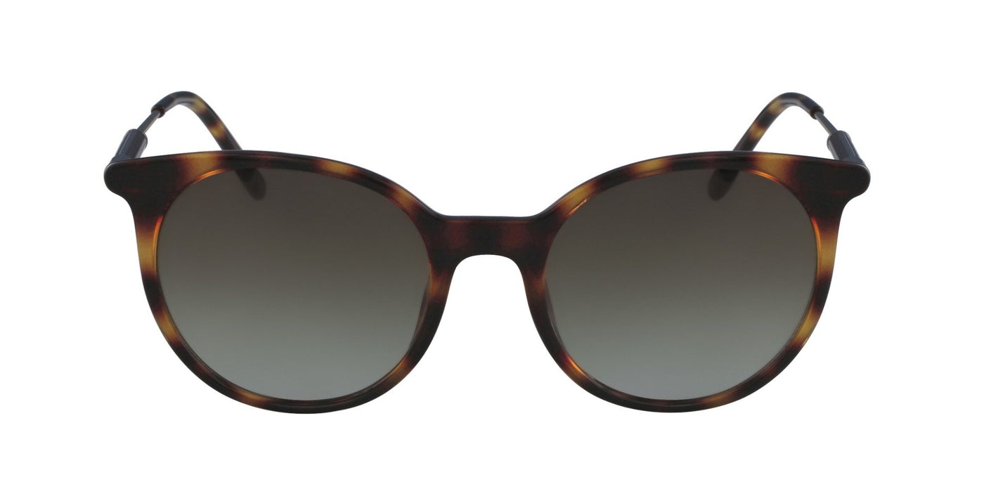 Calvin Klein CK3208S Dark Tortoise/Brown Gradient #colour_dark-tortoise-brown-gradient