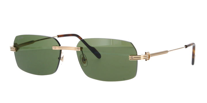 Cartier CT0271S Rectangle Sunglasses | Fashion Eyewear