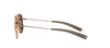 Dita DLS102 Gold/Brown Polarised #colour_gold-brown-polarised