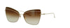 DITA Starspann DTS531 Gold/Brown #colour_gold-brown
