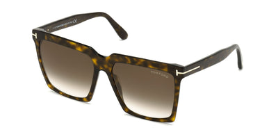 Tom Ford Sabrina-02 TF764 Dark Tortoise/Brown Gradient #colour_dark-tortoise-brown-gradient