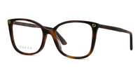 Dark Tortoise / 53