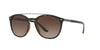 Giorgio Armani AR8088 Dark Tortoise/Brown #colour_dark-tortoise-brown