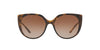 Dolce&Gabbana DG6119 Dark Tortoise/Brown Gradient #colour_dark-tortoise-brown-gradient