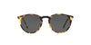 Oliver Peoples O'Malley SUN OV5183S Dark-Tortoise-Grey-Polarised #colour_dark-tortoise-grey-polarised