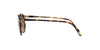 Oliver Peoples O'Malley SUN OV5183S Dark-Tortoise-Grey-Polarised #colour_dark-tortoise-grey-polarised