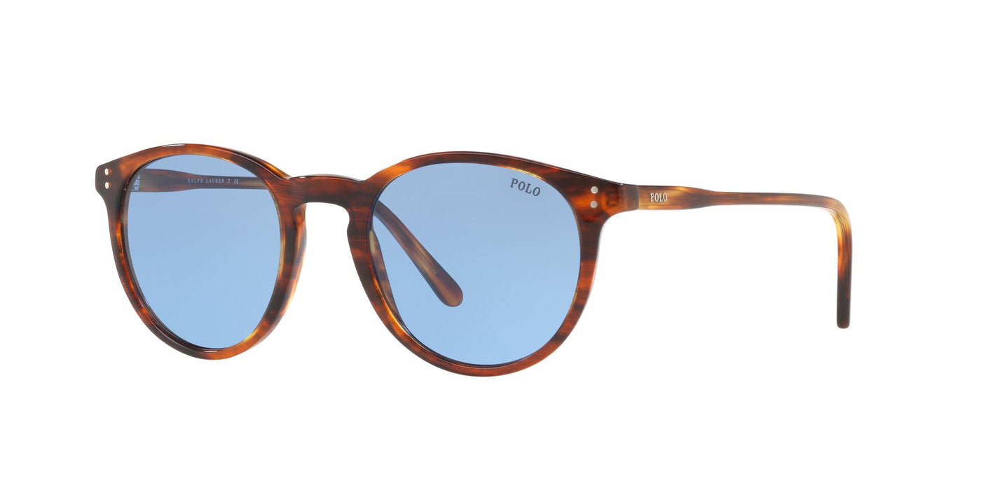 Polo Ralph Lauren PH4110 Dark Tortoise/Blue #colour_dark-tortoise-blue