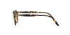 Persol PO3092SM Dark Tortoise/Brown #colour_dark-tortoise-brown