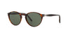 Persol PO3092SM Dark-Tortoise-Green #colour_dark-tortoise-green