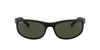 Ray-Ban RB2027 Black/Green #colour_black-green