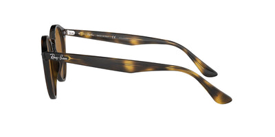 Ray-Ban RB2180 Dark-Tortoise-Brown-Polarised #colour_dark-tortoise-brown-polarised