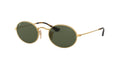 Ray-Ban RB3547N