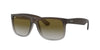 Ray-Ban Justin RB4165 Brown-Green #colour_brown-green
