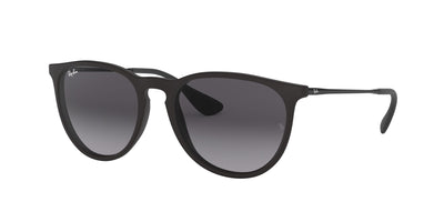 Ray-Ban Erika RB4171 Black-Grey #colour_black-grey