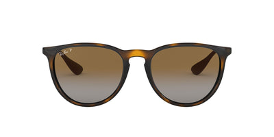 Ray-Ban Erika RB4171 Dark-Tortoise-Brown-Polarised #colour_dark-tortoise-brown-polarised