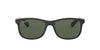 Ray-Ban Andy RB4202 Black-Grey #colour_black-grey