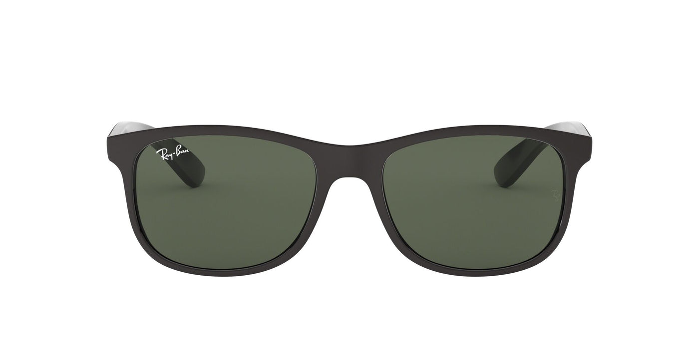 Ray-Ban Andy RB4202 Black-Grey #colour_black-grey