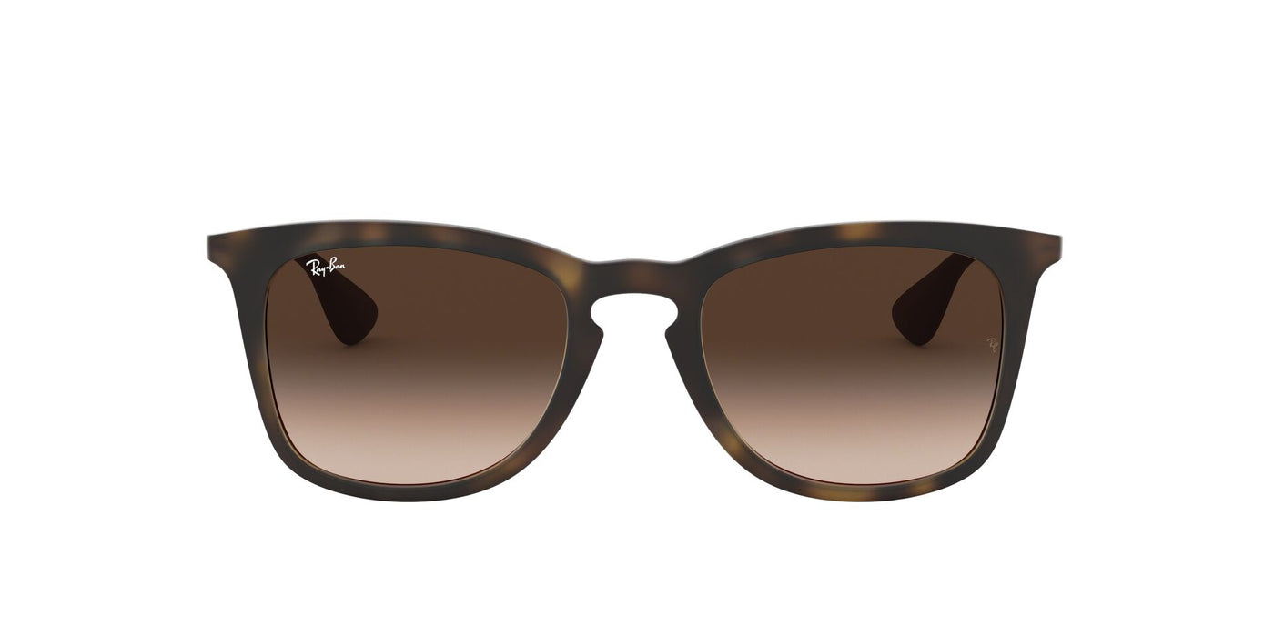 Ray-Ban RB4221 Dark Tortoise/Brown #colour_dark-tortoise-brown