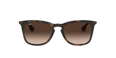 Ray-Ban RB4221 Dark Tortoise/Brown #colour_dark-tortoise-brown