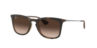 Ray-Ban RB4221 Dark Tortoise/Brown #colour_dark-tortoise-brown