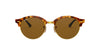 Ray-Ban Clubround RB4246 Light Tortoise/Brown #colour_light-tortoise-brown