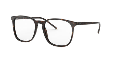 Ray-Ban RB5387 Dark Tortoise #colour_dark-tortoise