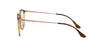 Ray-Ban RB7140 Brown 1 #colour_brown-1