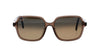 Maui Jim Little Bell Brown-Brown #colour_brown-brown