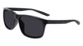 Nike CHASER ASCENT DJ9918