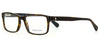 Polo Ralph Lauren PH2123 Dark Tortoise #colour_dark-tortoise