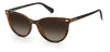 Polaroid PLD4107/S Dark Tortoise/Brown Polarised #colour_dark-tortoise-brown-polarised