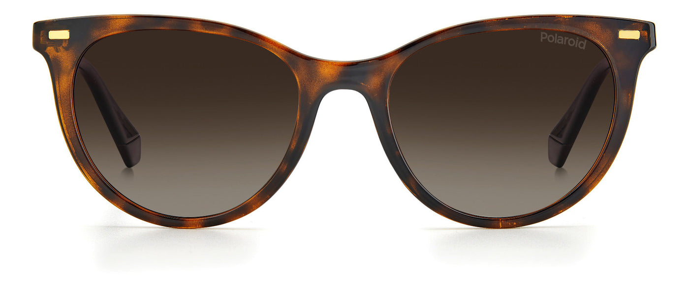 Polaroid PLD4107/S Dark Tortoise/Brown Polarised #colour_dark-tortoise-brown-polarised