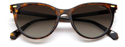 Polaroid PLD4107/S Dark Tortoise/Brown Polarised #colour_dark-tortoise-brown-polarised