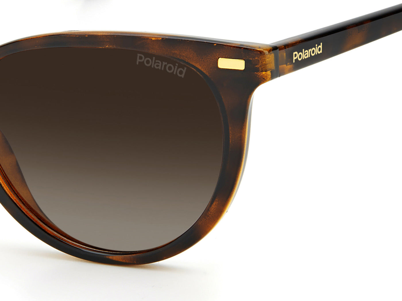 Polaroid PLD4107/S Dark Tortoise/Brown Polarised #colour_dark-tortoise-brown-polarised